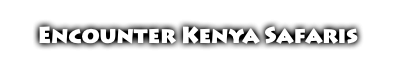  Encounter Kenya Safaris