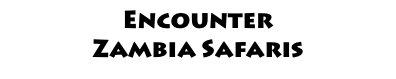 Encounter  Zambia Safaris